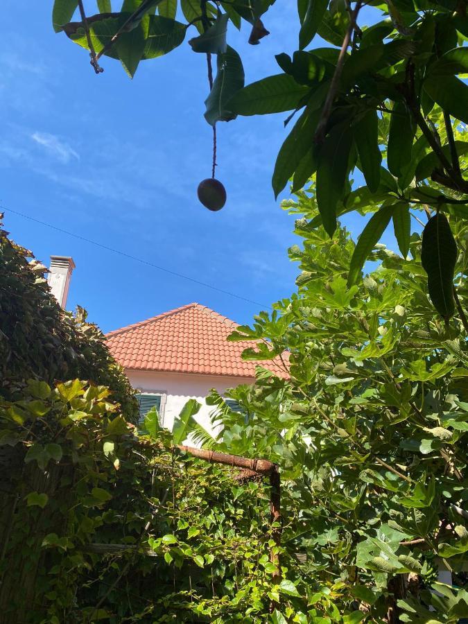 Avo Lucindinha House - Porto Moniz Villa Ngoại thất bức ảnh